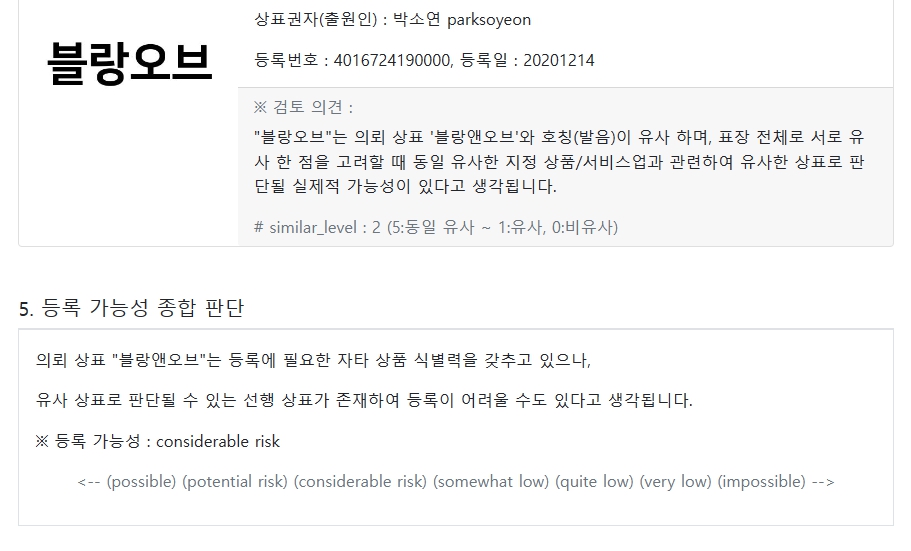 review report continued